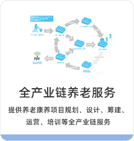 全产业链养老服务 集团集地产、医疗、照护、销售等多产业联动