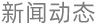 新闻动态